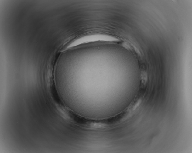 X0000087330360200705112201