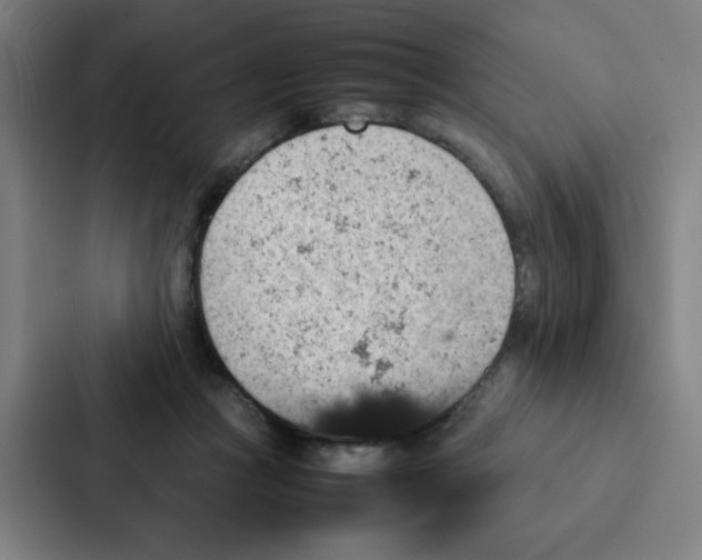 X0000087330361200705112201