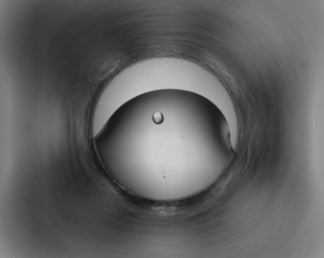 X0000087330362200705112201