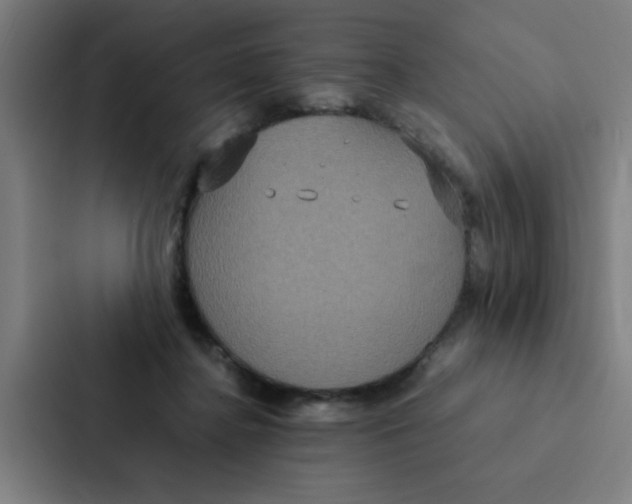 X0000087330364200705112201