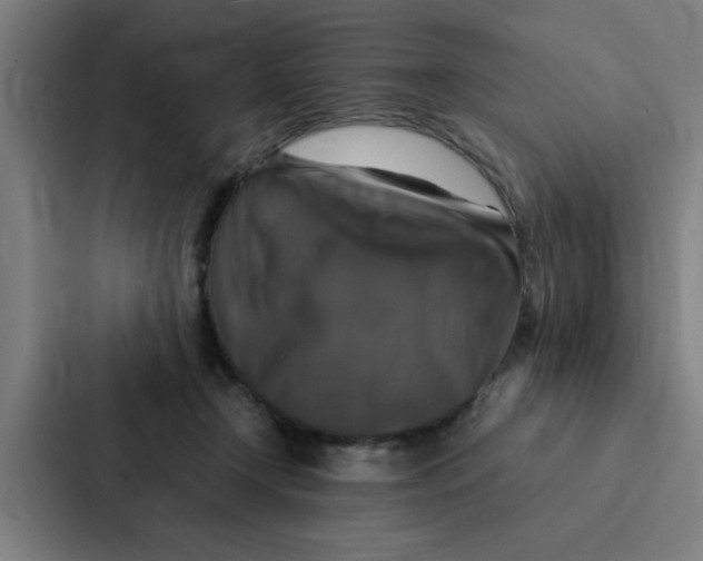 X0000087330366200705112201