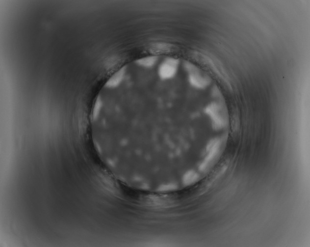 X0000087330367200705112201