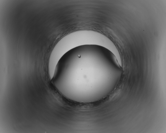 X0000087330368200705112201
