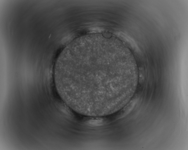 X0000087330369200705112201