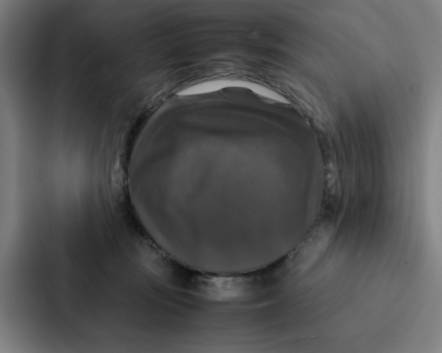 X0000087330371200705112201