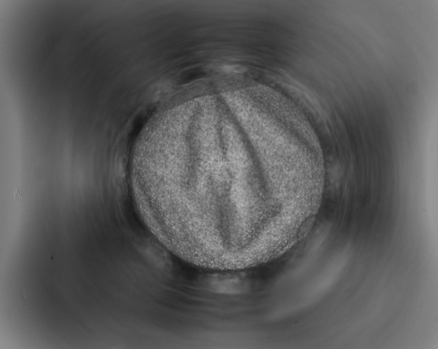 X0000087330373200705112201