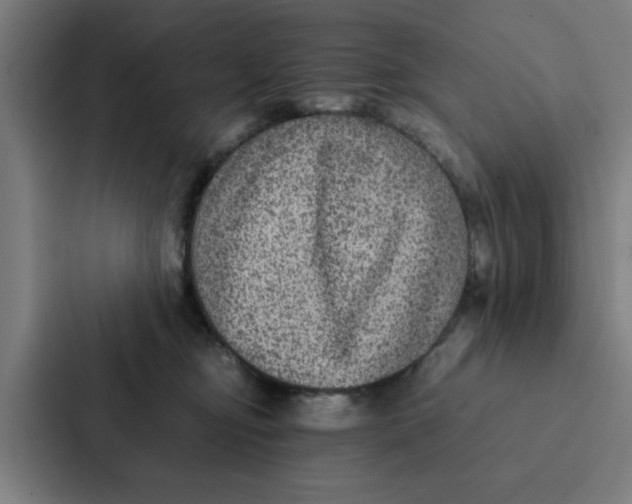 X0000087330374200705112201