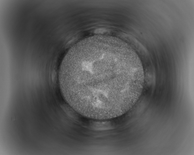 X0000087330375200705112201