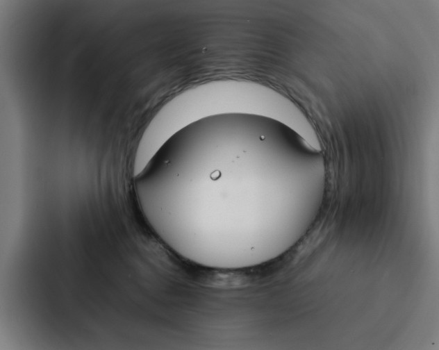 X0000087330376200705112201