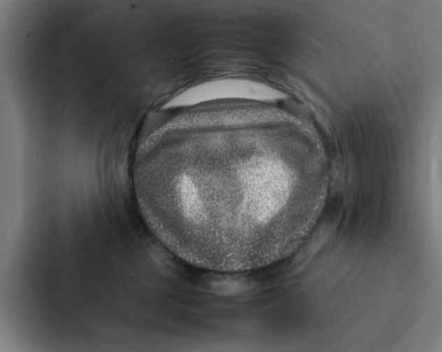 X0000087330377200705112201