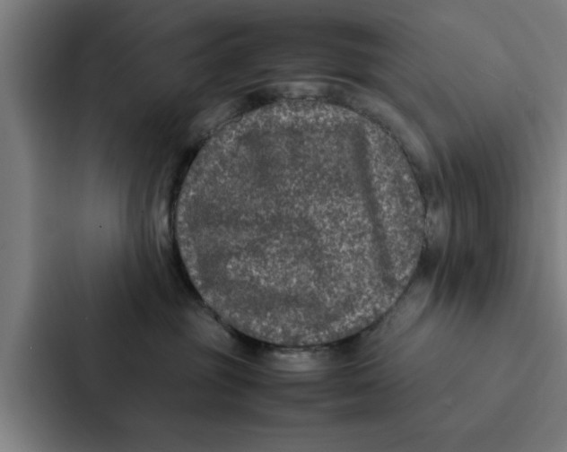 X0000087330381200705112202