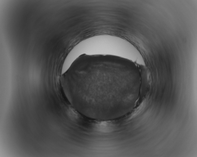 X0000087330382200705112202