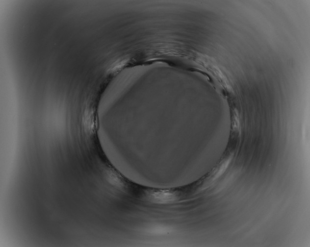 X0000087330383200705112202