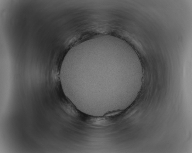 X0000087330384200705112202