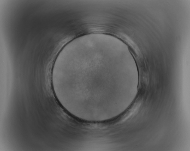 X0000087330385200705112201