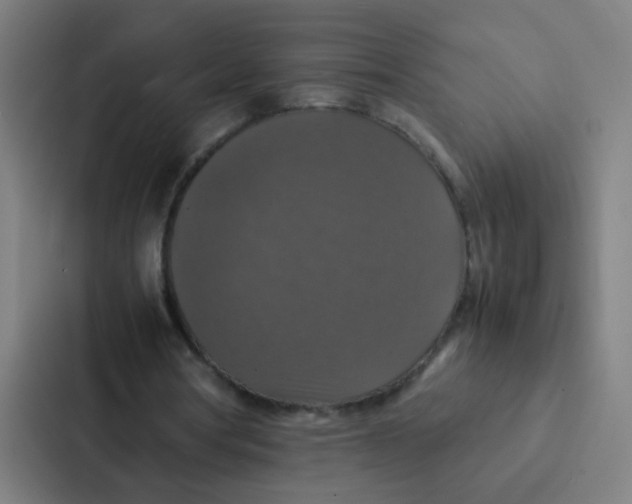 X0000087330386200705112201