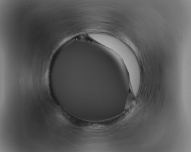 X0000087330387200705112201