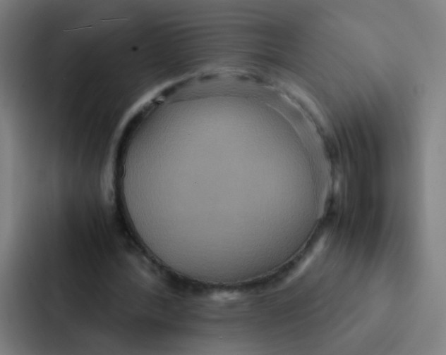 X0000087330388200705112201