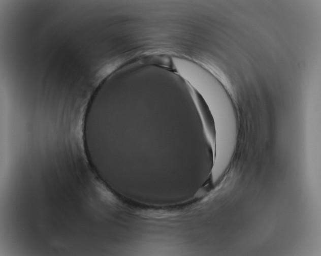 X0000087330389200705112201