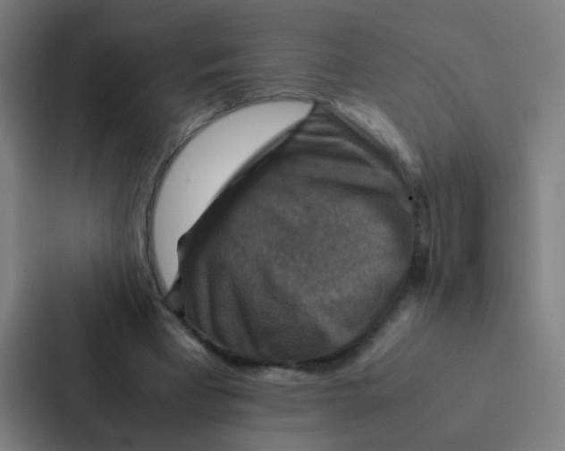 X0000087330393200705112201