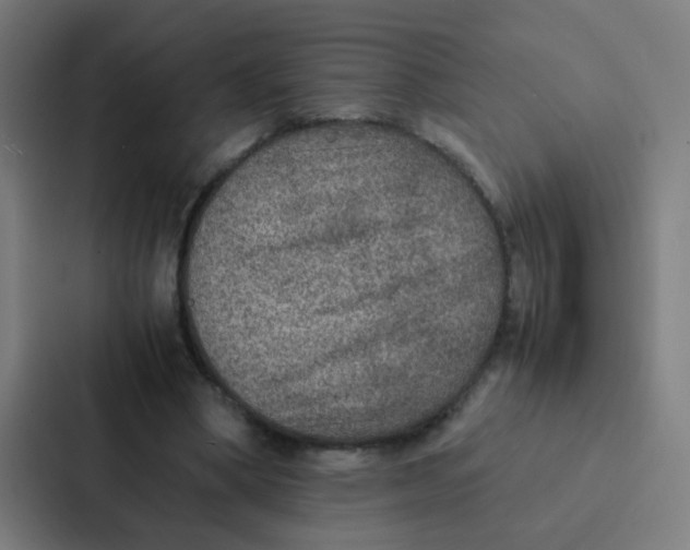 X0000087330394200705112201