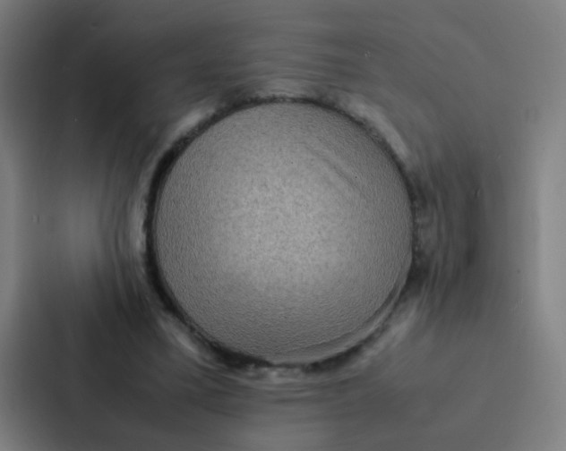 X0000087330395200705112201