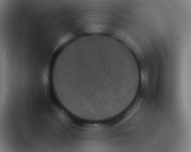 X0000087330396200705112201