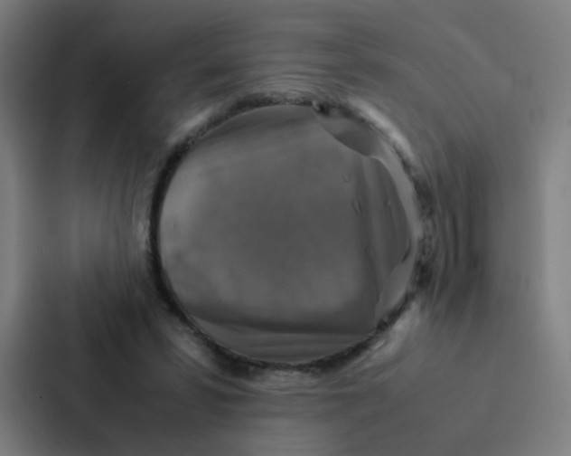 X0000087330399200705112201