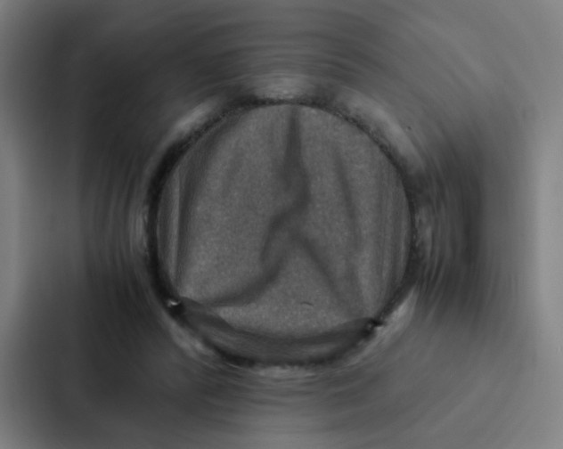 X0000087330400200705112201