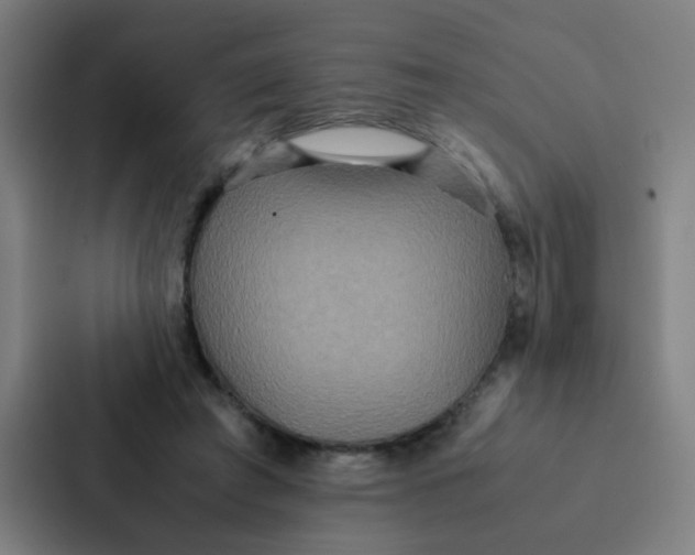 X0000087330401200705112201