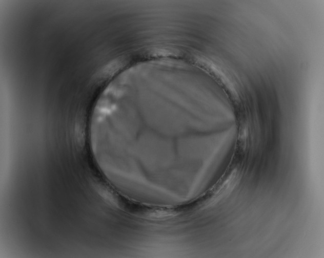 X0000087330402200705112201