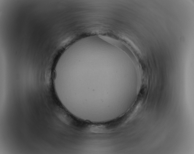 X0000087330403200705112201