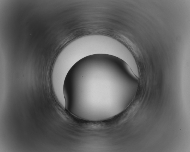 X0000087330405200705112201