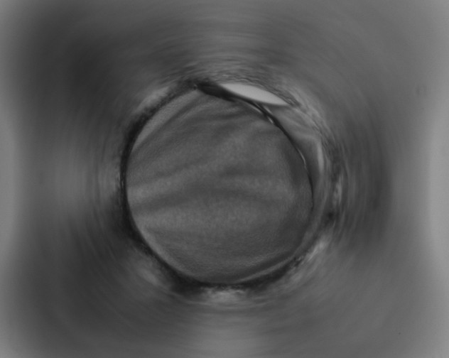 X0000087330407200705112201