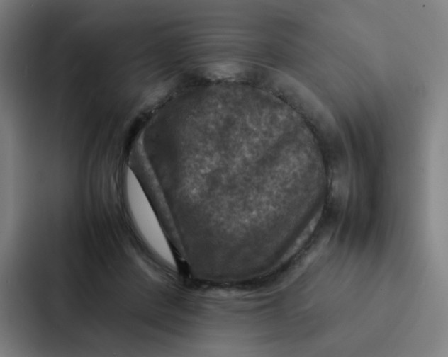X0000087330408200705112201