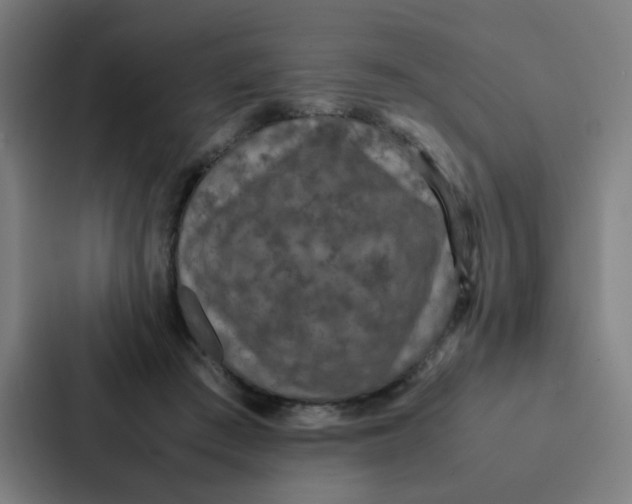 X0000087330409200705112201