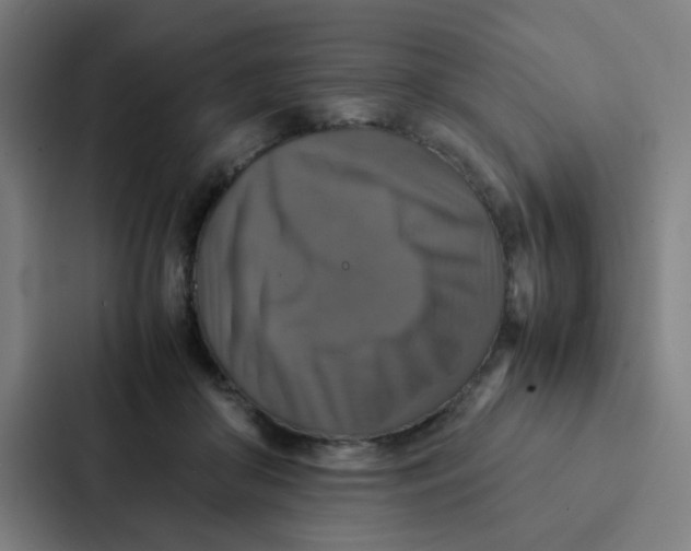 X0000087330410200705112201