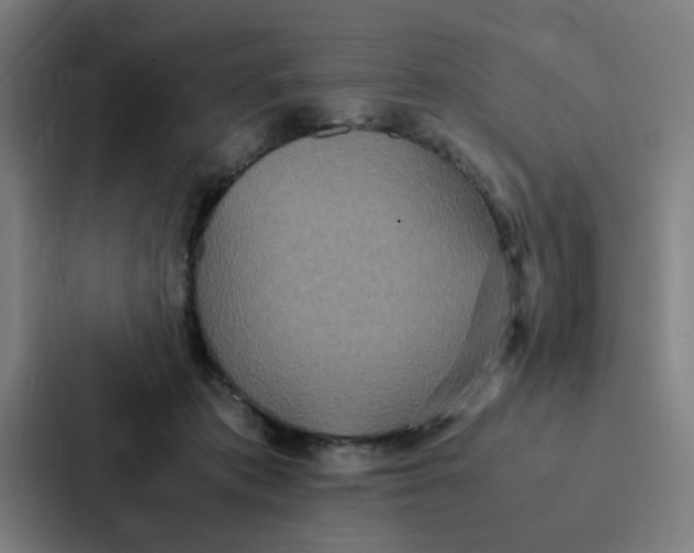 X0000087330413200705112201