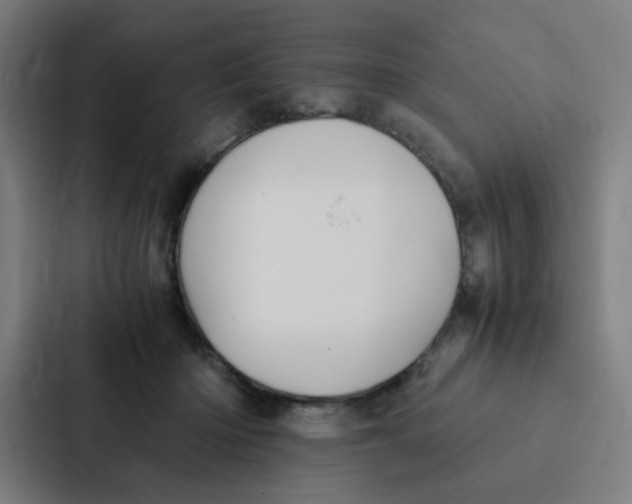 X0000087330414200705112201