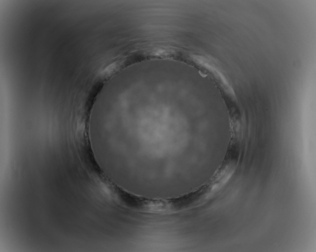 X0000087330415200705112201
