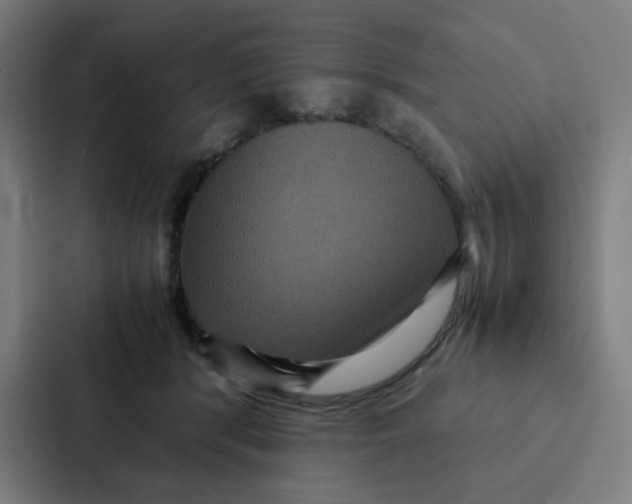 X0000087330416200705112201