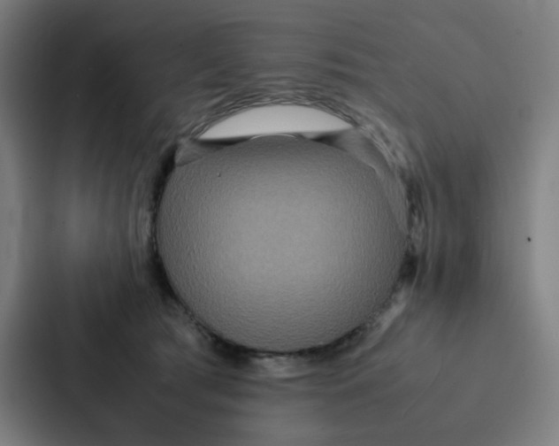 X0000087330417200705112201