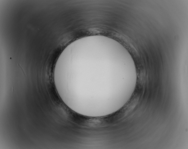 X0000087330418200705112201