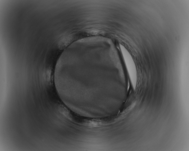 X0000087330420200705112201