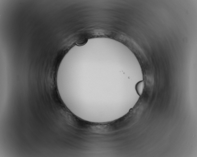 X0000087330422200705112200