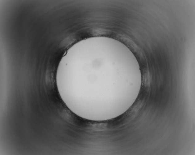 X0000087330426200705112200