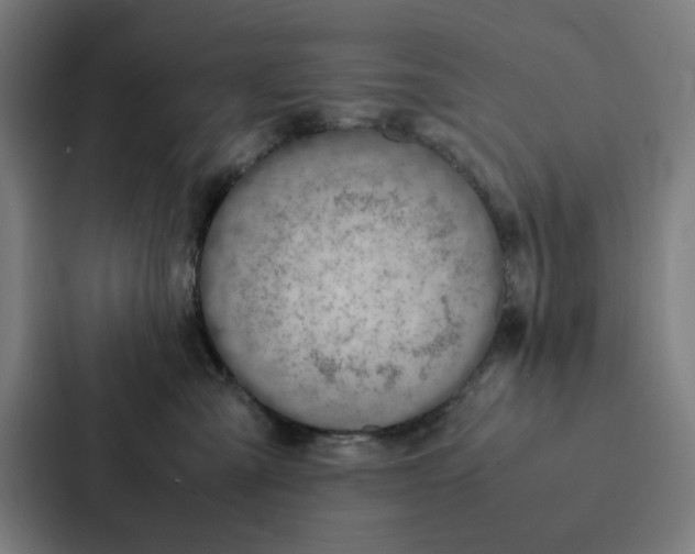 X0000087330427200705112200