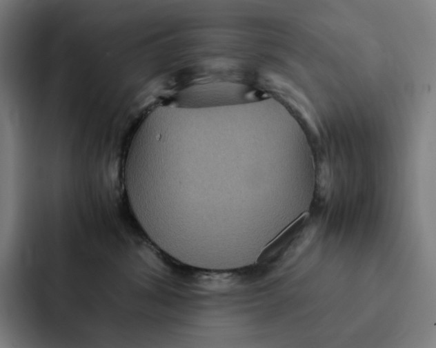 X0000087330428200705112200