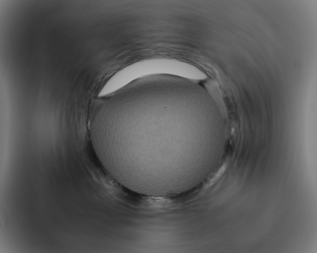 X0000087330429200705112200