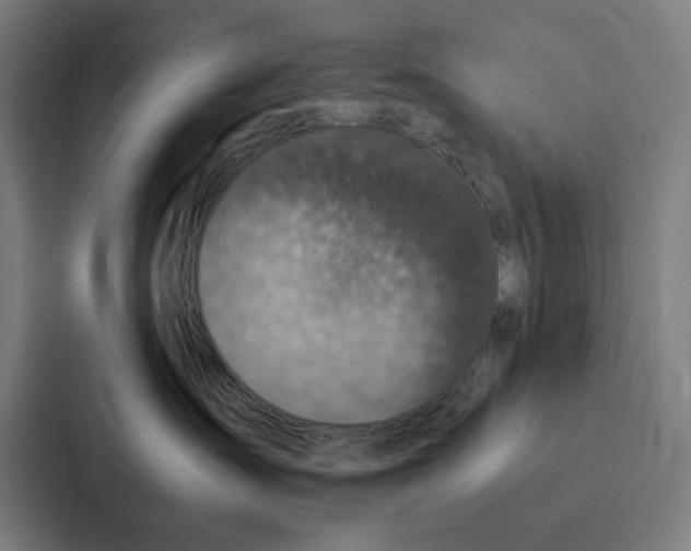 X0000087330431200705112200